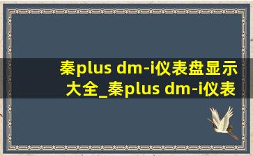 秦plus dm-i仪表盘显示大全_秦plus dm-i仪表盘显示内容